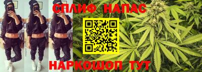 индика Заводоуковск