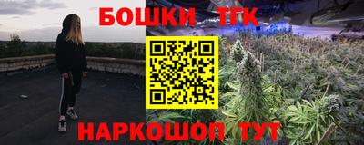 индика Заводоуковск