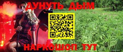индика Заводоуковск
