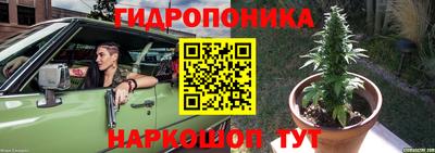индика Заводоуковск