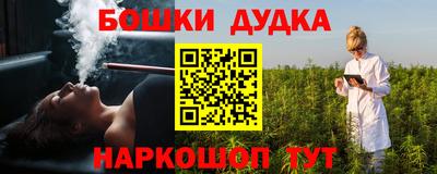 индика Заводоуковск
