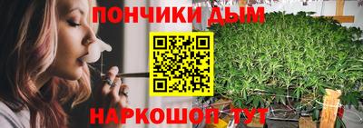 индика Заводоуковск